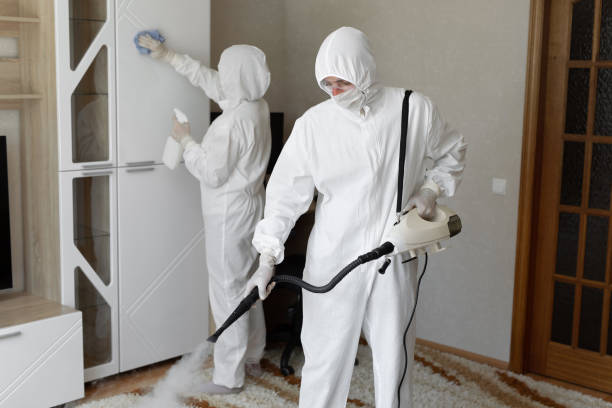 24/7 Emergency Odor Removal experts in Millburn, NJ